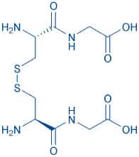 (H-Cys-Gly-OH)₂ (1G)