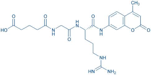 Glutaryl-Gly-Arg-AMC (100mg)