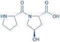 H-Pro-Hyp-OH (1G)