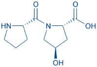 H-Pro-Hyp-OH (1G)