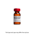 Sauvagine - 0.5 mg